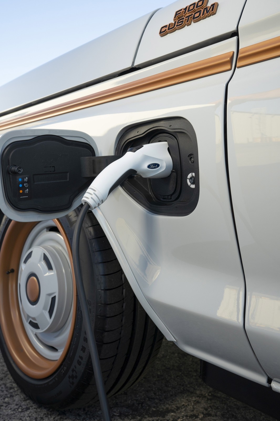 Ford F100 Eluminator