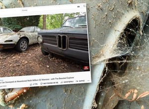 "Nie sprzedam, będę robił". Ponad 100 klasyków wrasta na opuszczonej działce [WIDEO]