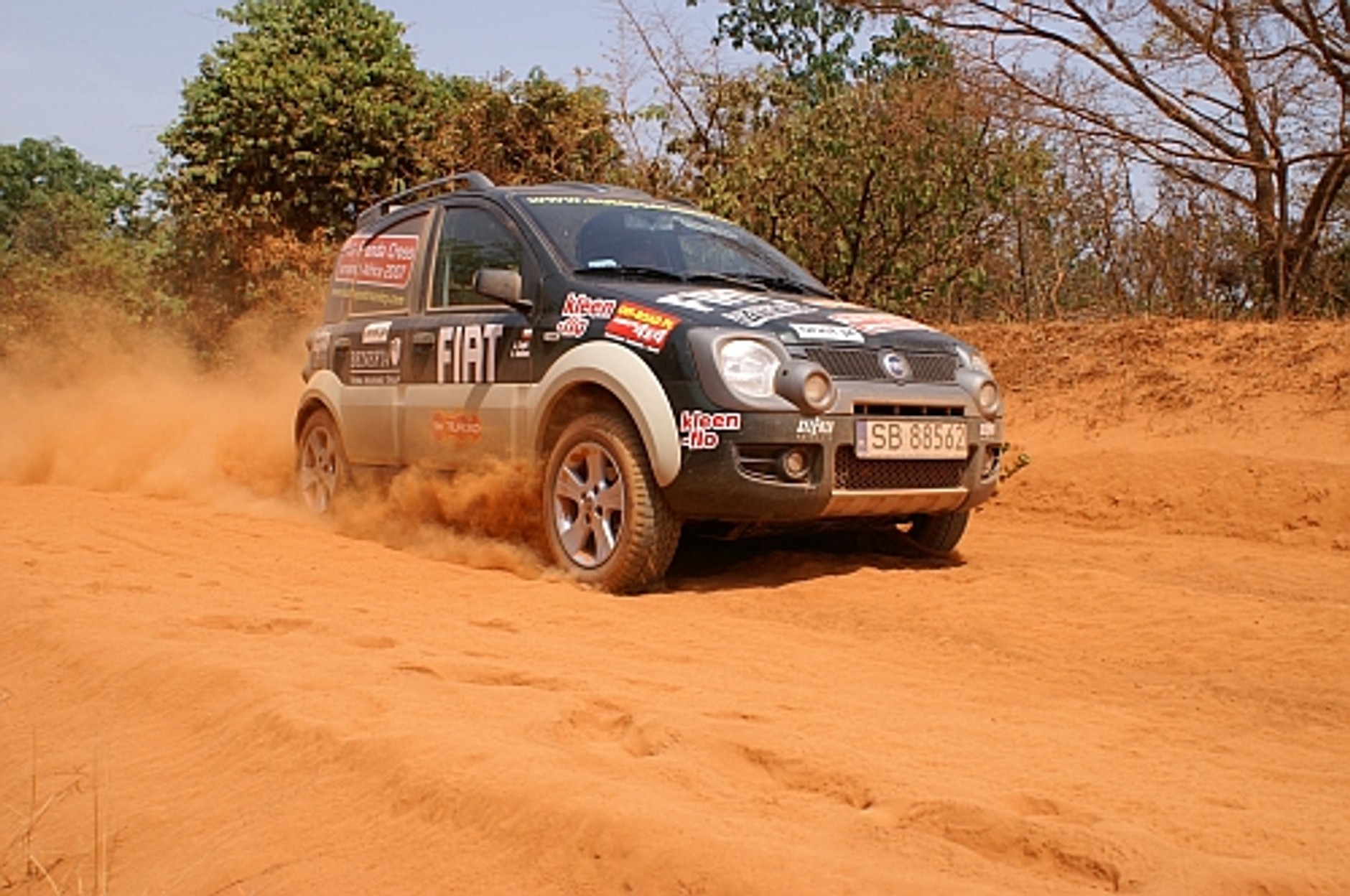 Panda już w Kamerunie