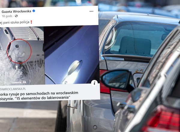 Wieczorami przemierza ulicę i niszczy zaparkowane auta. Mieszkańcy szukają staruszki