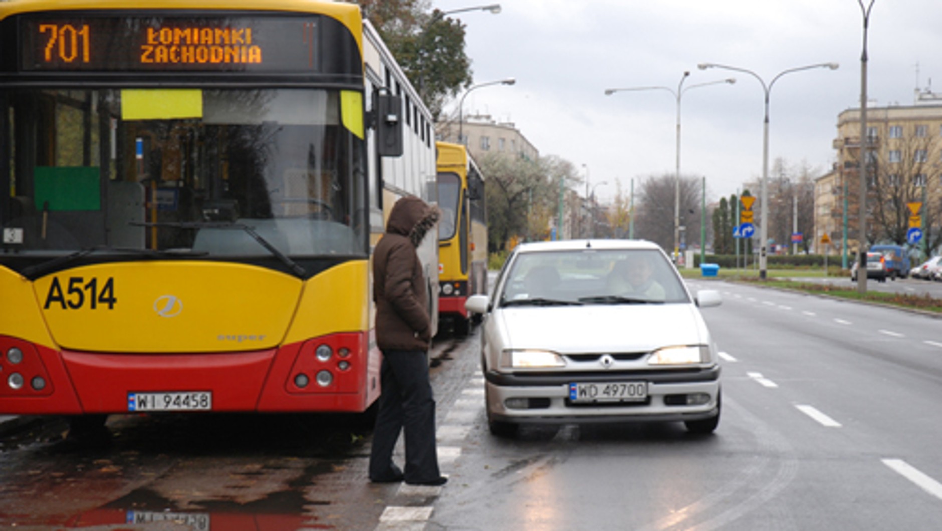 Pieszy - święta krowa?