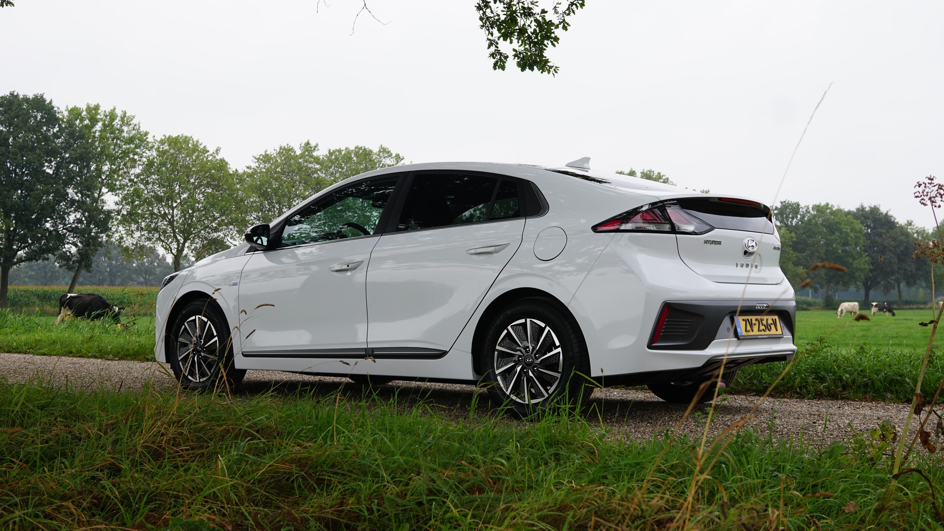 Hyundai Ioniq electric