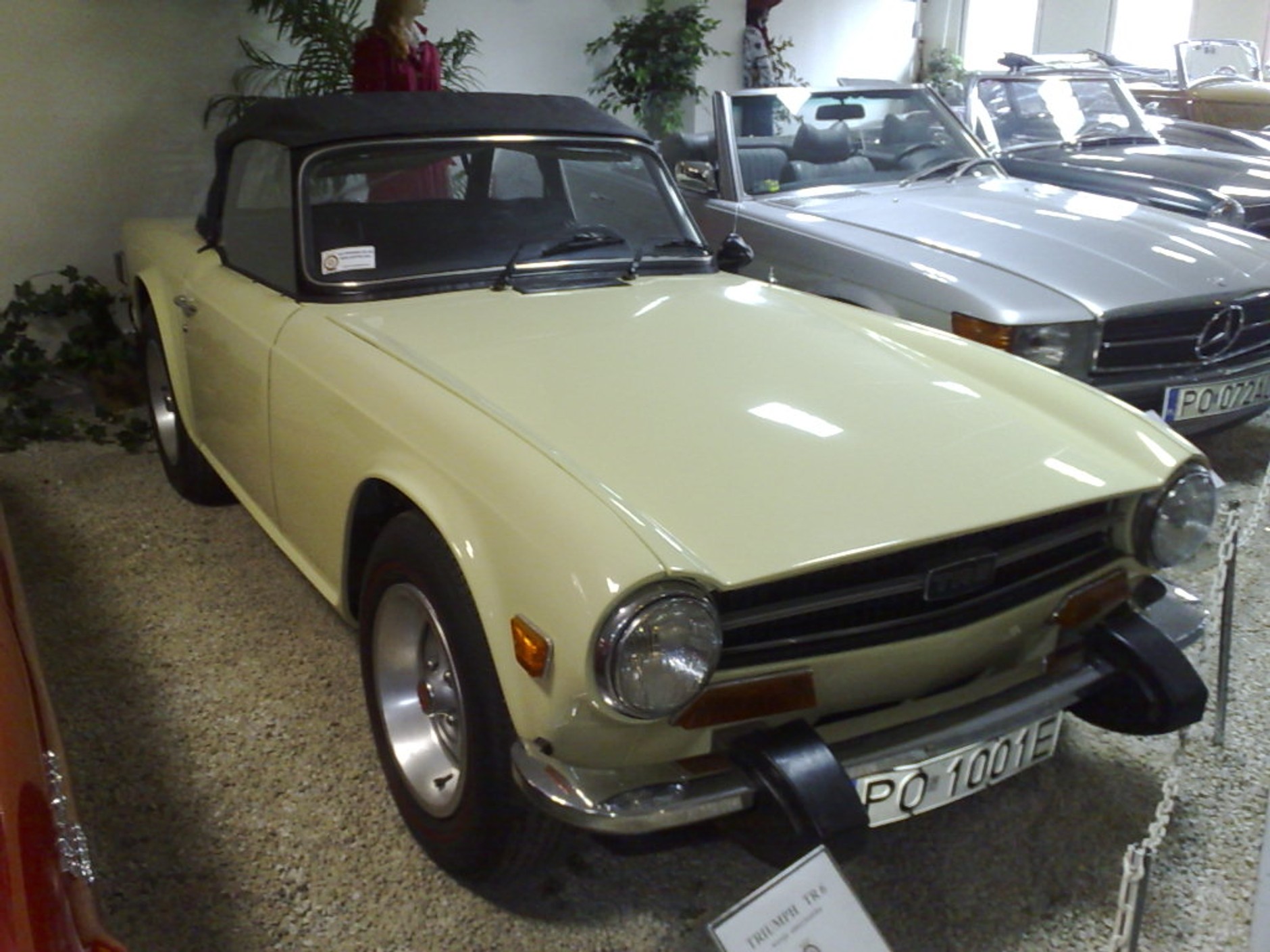 Wystawa kabrioletów w Poznaniu