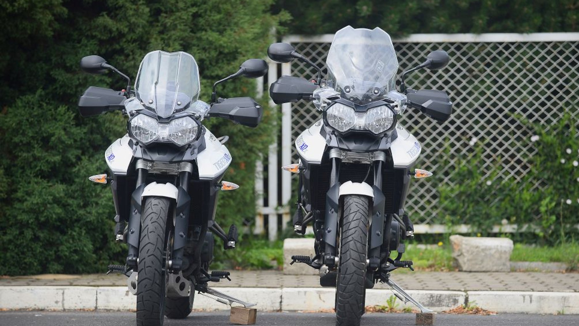 Tiger 800 XRx vs Tiger 800 XRx Low