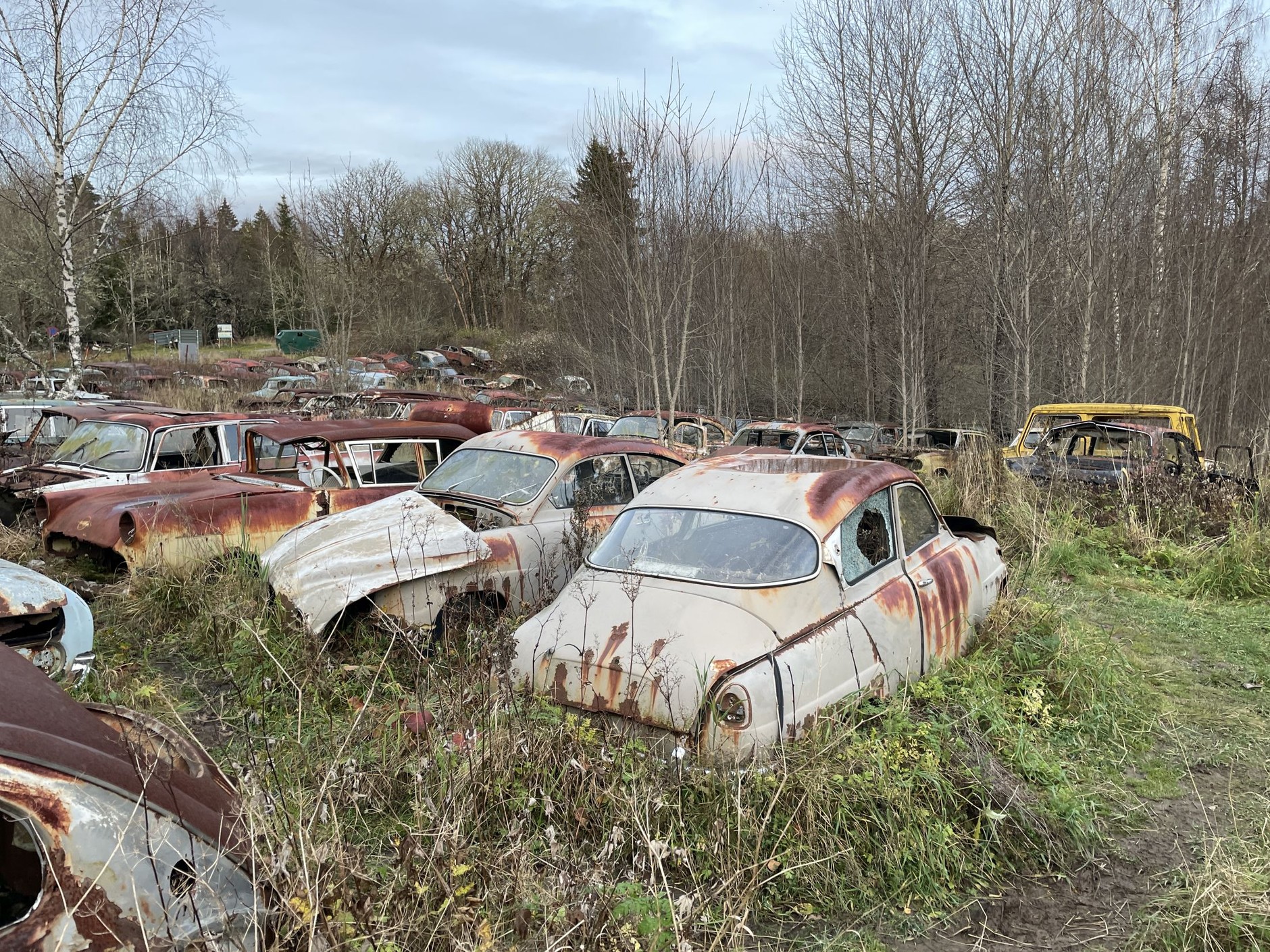 Cmentarzysko samochodów w Bastnas w Szwecji