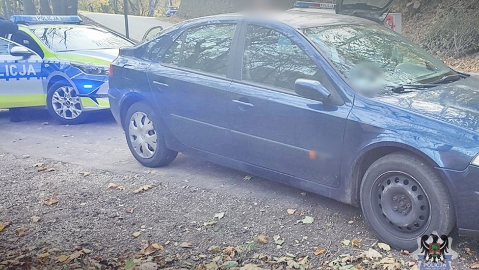 Źródło: walbrzych.policja.gov.pl/policja.pl