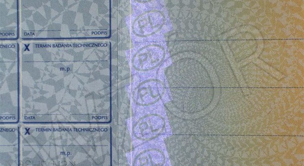 Mamy 30 dni na wyrobienie perłowych dowodów rejestracyjnych. Później 1000 zł kary