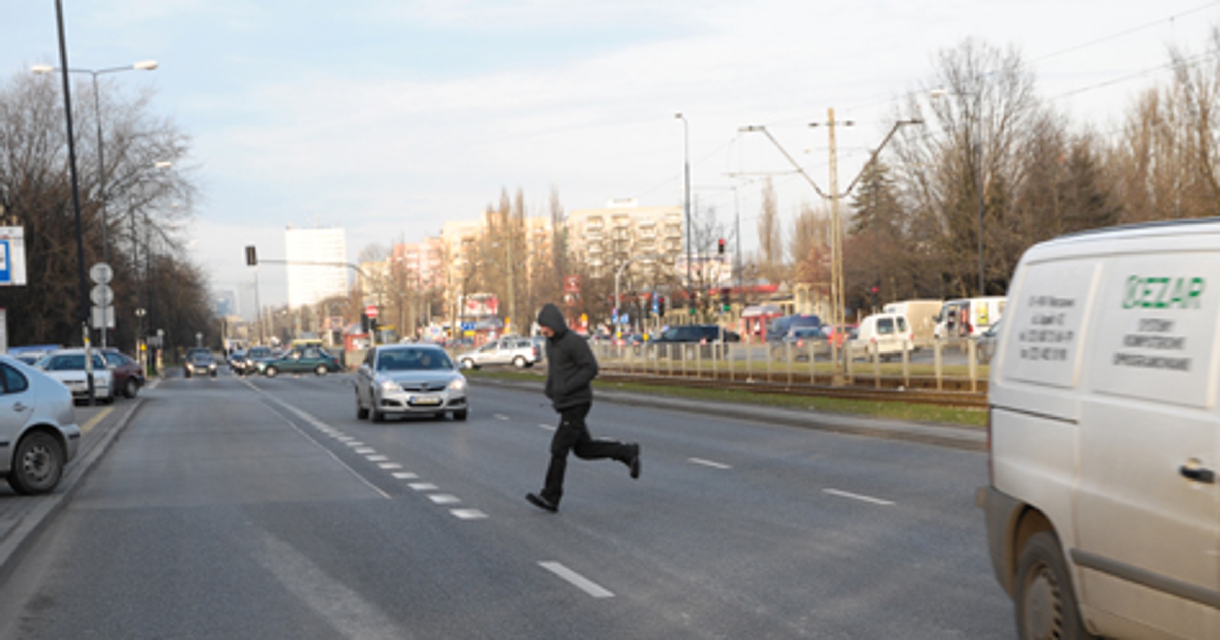 Pieszy - święta krowa?