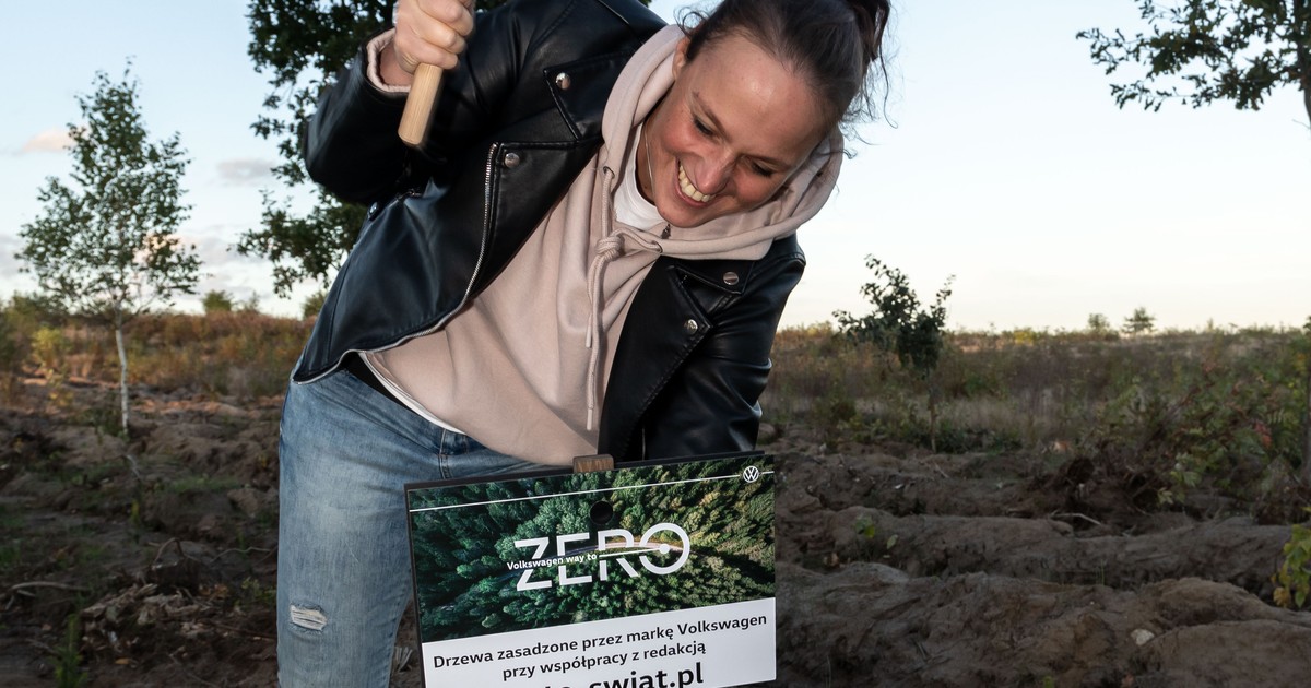 Zasadź drzewa z VW - projekt "Way To Go"  