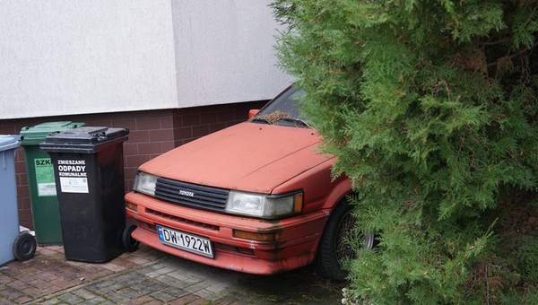 Ratujemy Hachi - pierwszy pomysł