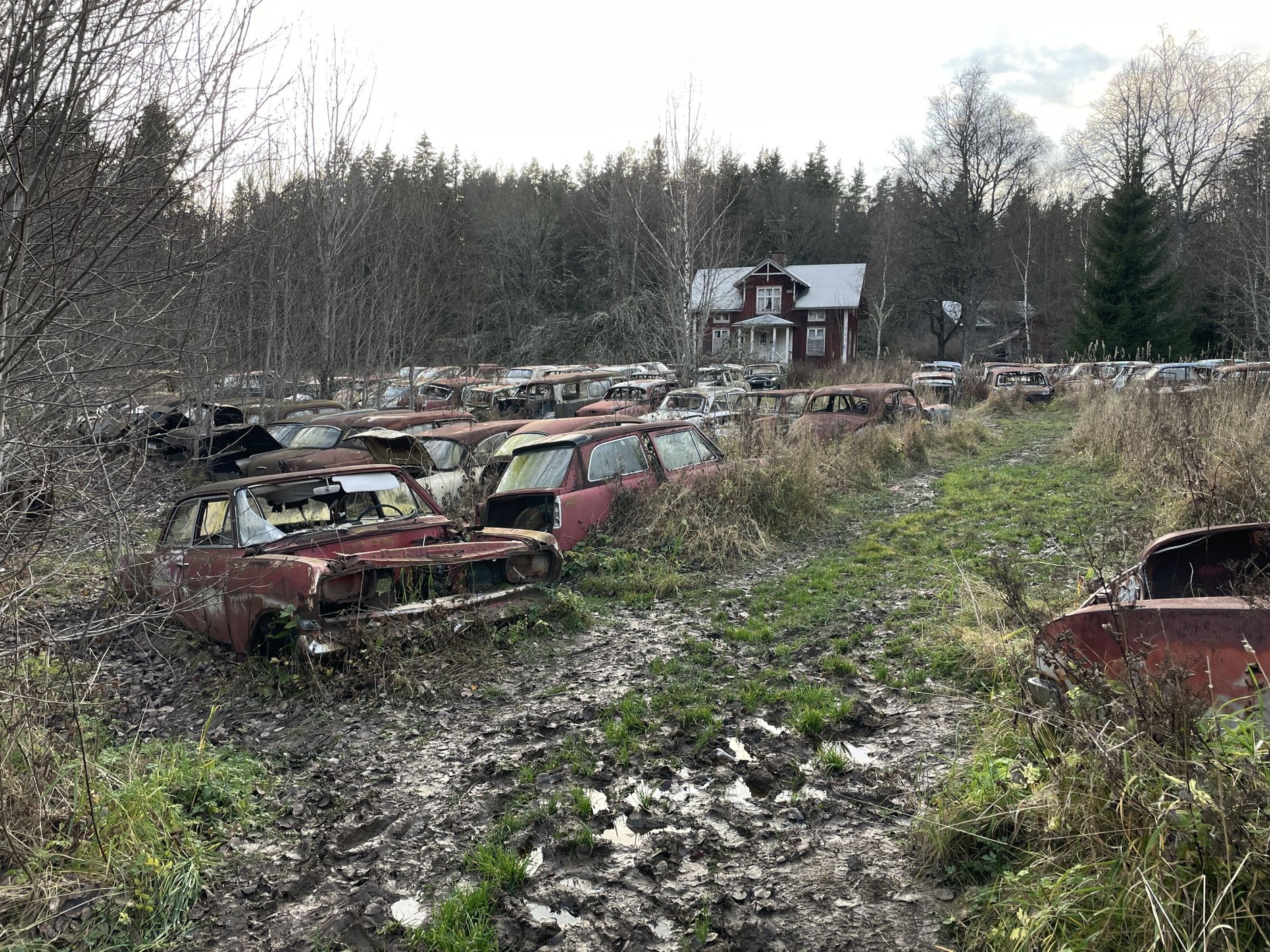 Cmentarzysko samochodów w Bastnas w Szwecji