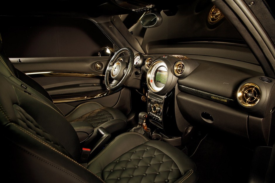 Mini Paceman