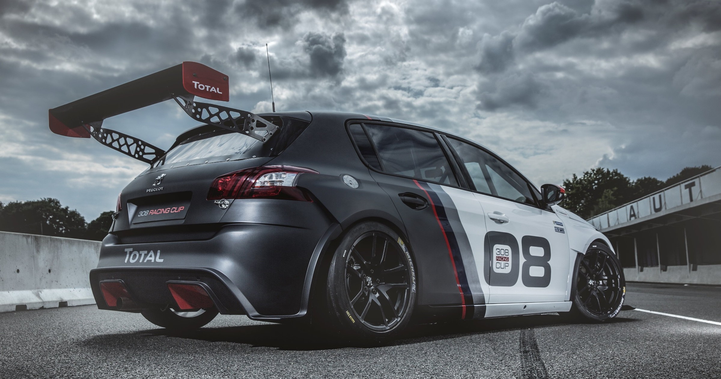 Peugeot 308 Racing Cup