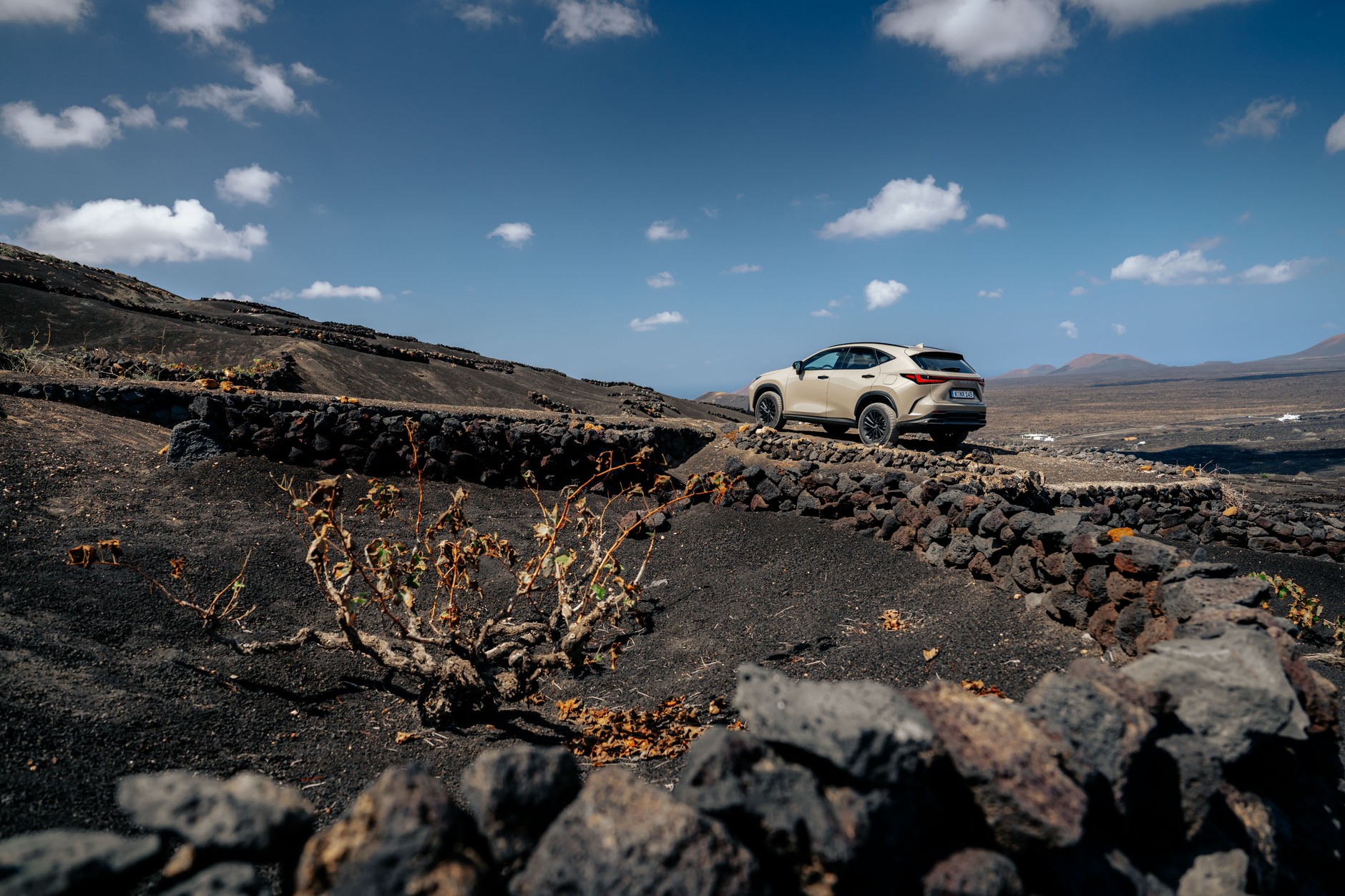 Lexus NX Overtrail