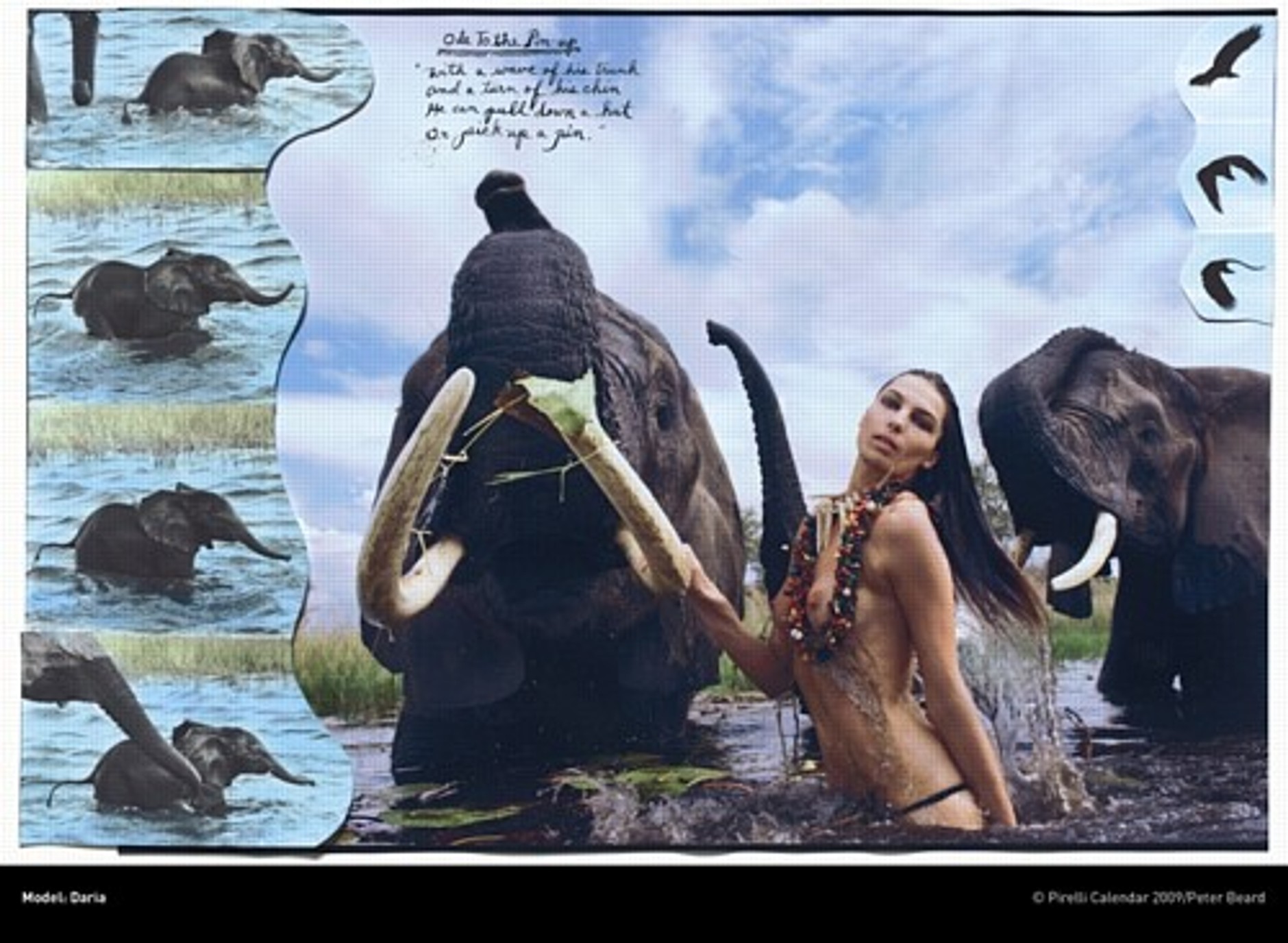 Kalendarz Pirelli 2009 - Tylko piękno może uratować świat