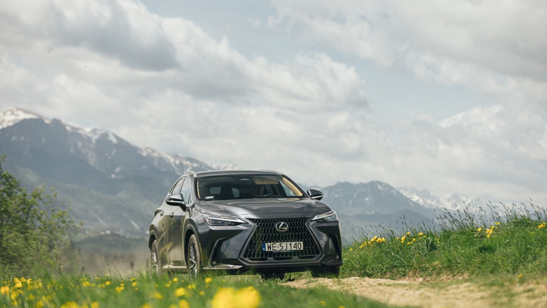 Lexus NX 350h