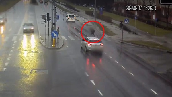 Wbiegł na "czerwonym" wprost pod auto. Policjanci opublikowali nagranie ku przestrodze