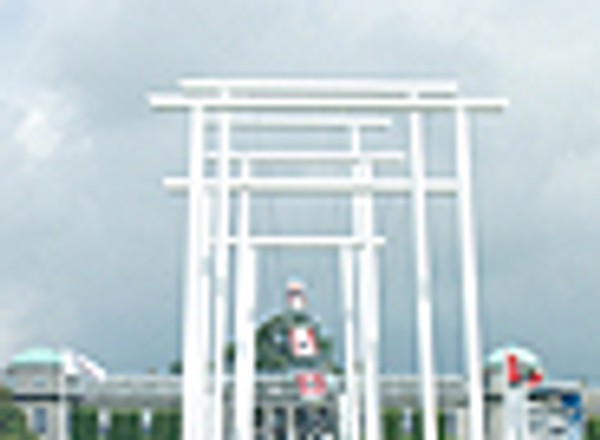Festiwal szybkości