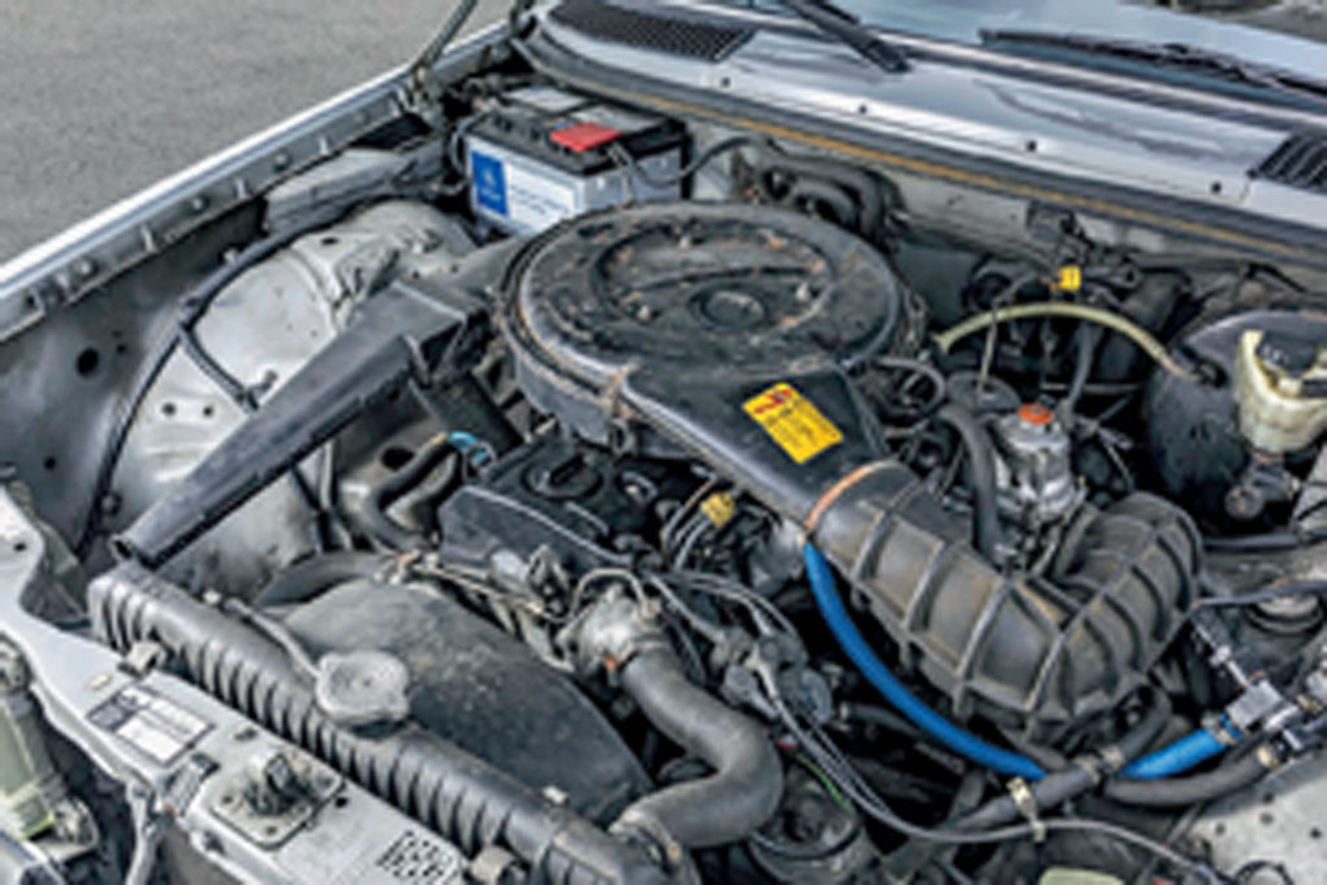 Mercedes W123 - Sycący jak schabowy z kapustą