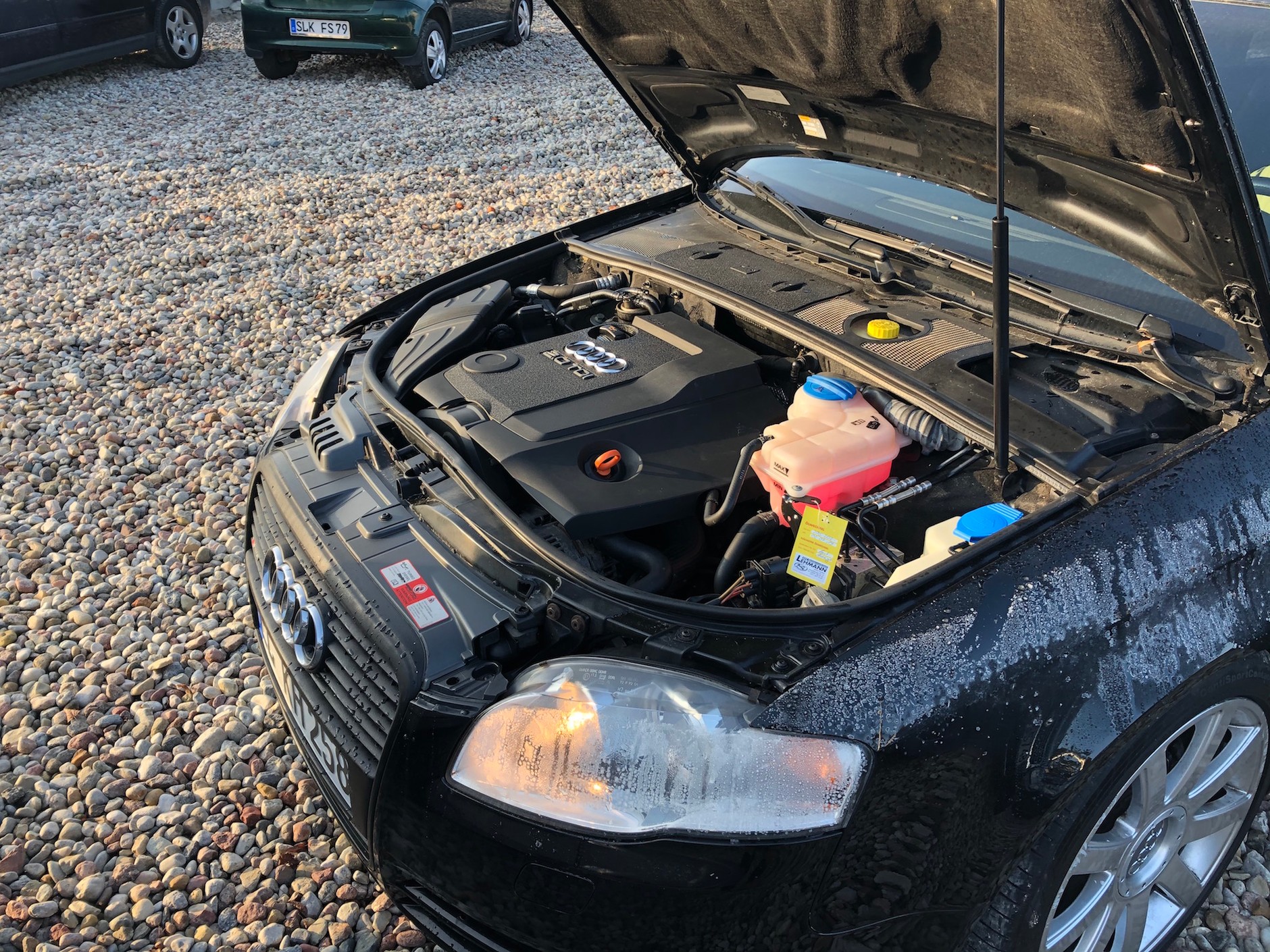 Audi A4 B7 2.0 TDI - auto z ogłoszenia