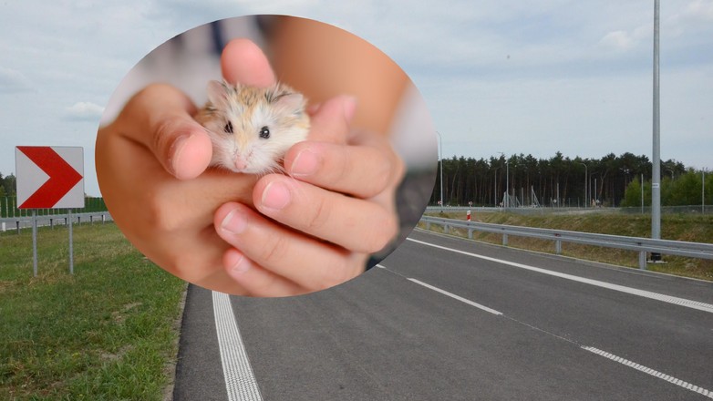 Problemy na budowie w Małopolsce