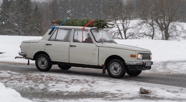 Wartburg 353 dziadka, czyli ciekawostka z ogłoszeń Otomoto