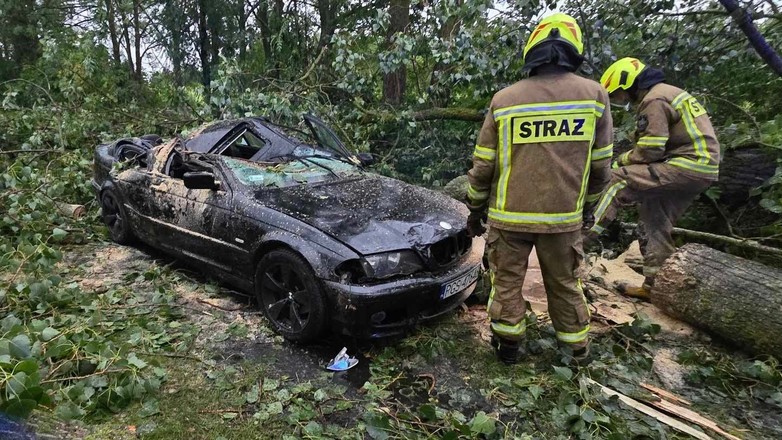 Drzewo runęło na BMW