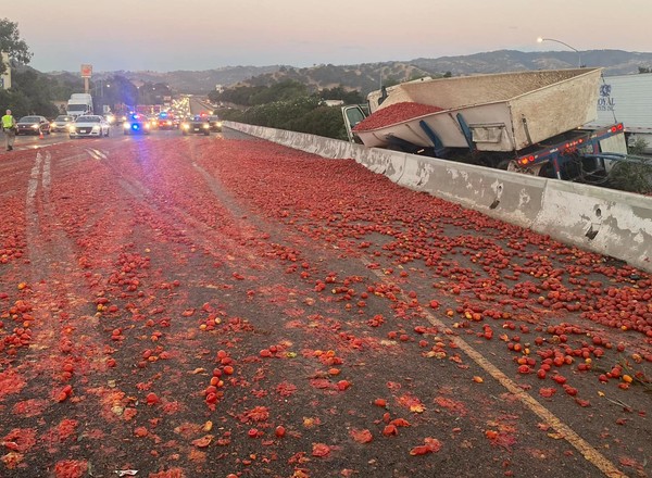 Pomidorowa autostrada. Tysiące pomidorów zablokowały drogę