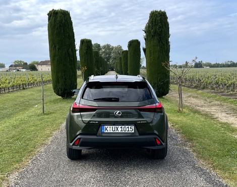Lexus UX 300h