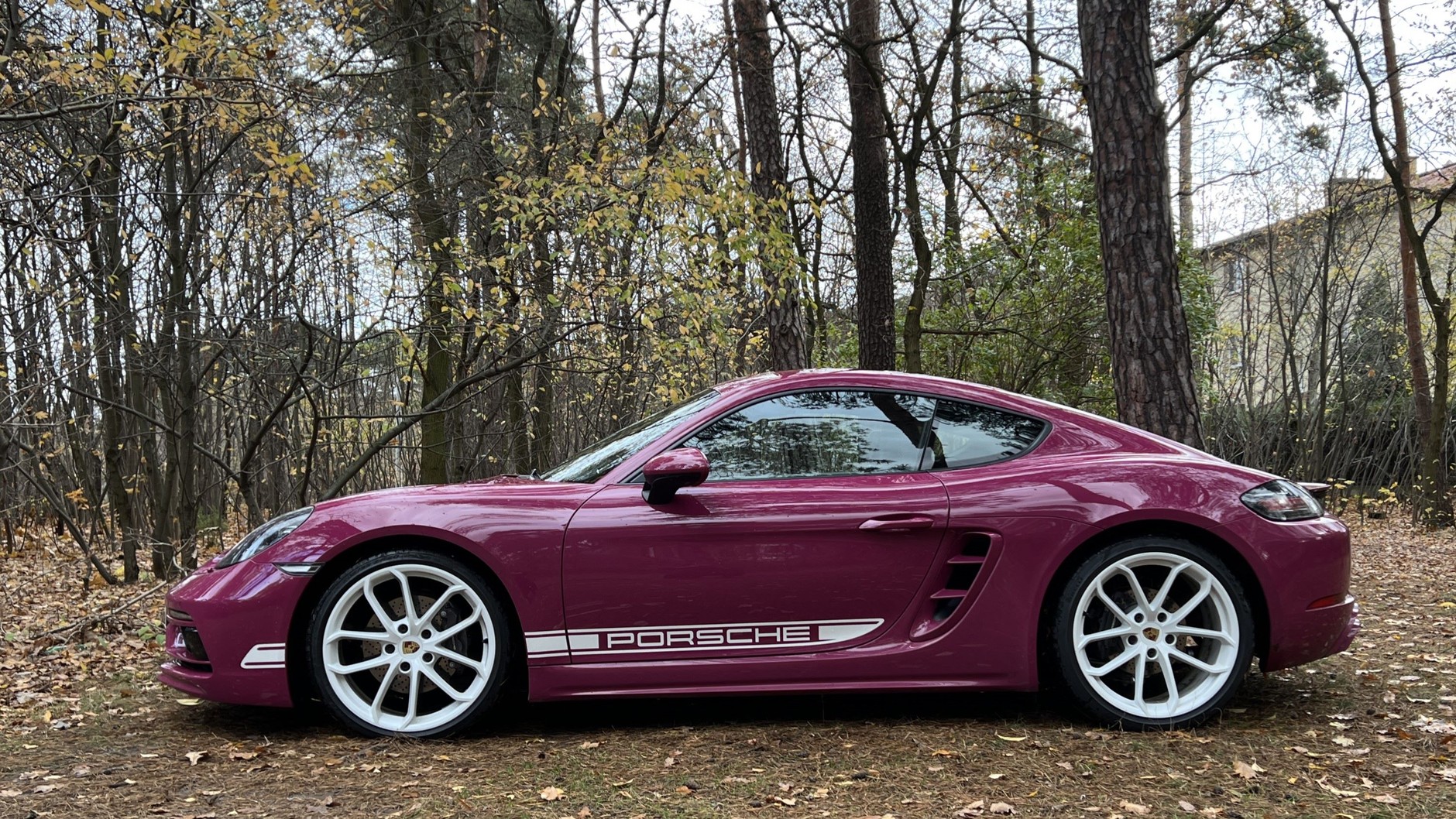 Porsche 718 Cayman Style Edition (kod 982; model z 2023 r.)