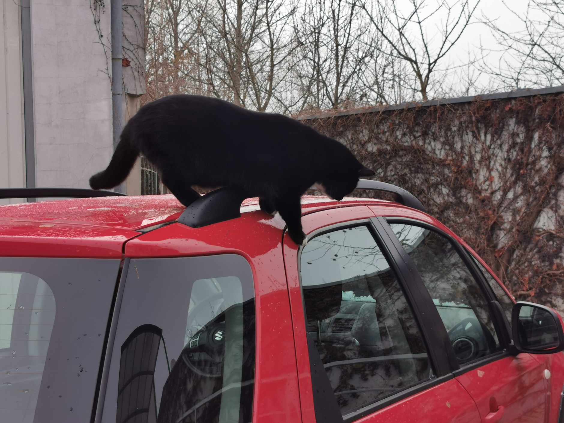 Suzuki SX4 z ogłoszenia: rocznik 2012, 190 tys. km przebiegu, napęd 4x4