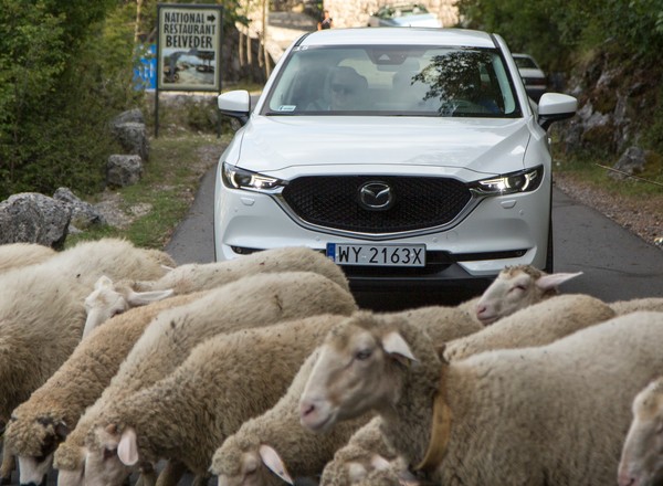 Mazdami po Czarnogórze – warto dokonywać nieoczywistych wyborów
