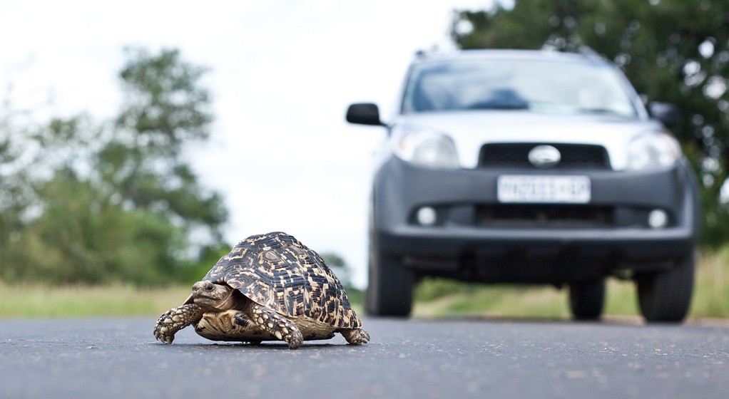 Dziesięć sposobów na "wkurzenie" innych kierowców
