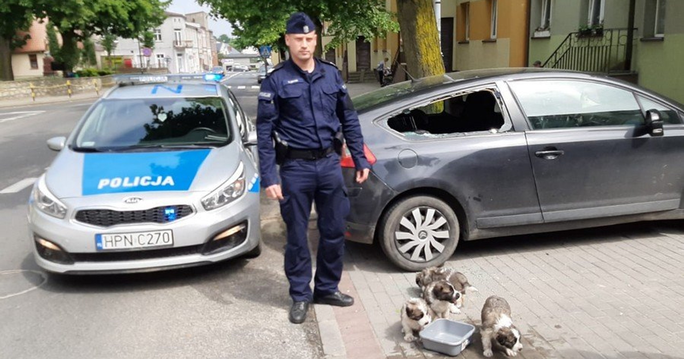 Policjanci uratowali zamknięte w aucie szczeniaki