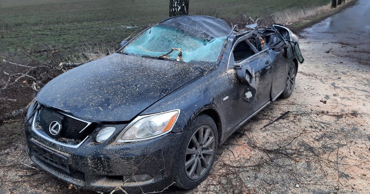 Lexus GS300 zdemolowany przez powalone drzewo. Skutki wichury w okolicach Kętrzyna