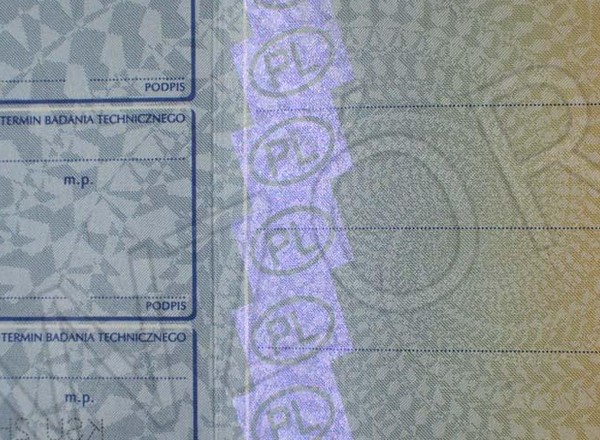 Mamy 30 dni na wyrobienie perłowych dowodów rejestracyjnych. Później 1000 zł kary