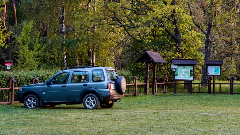 Parking w pobliżu lasu