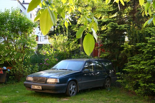 Pielęgnacja auta: Radzimy co robić gdy natura atakuje samochód