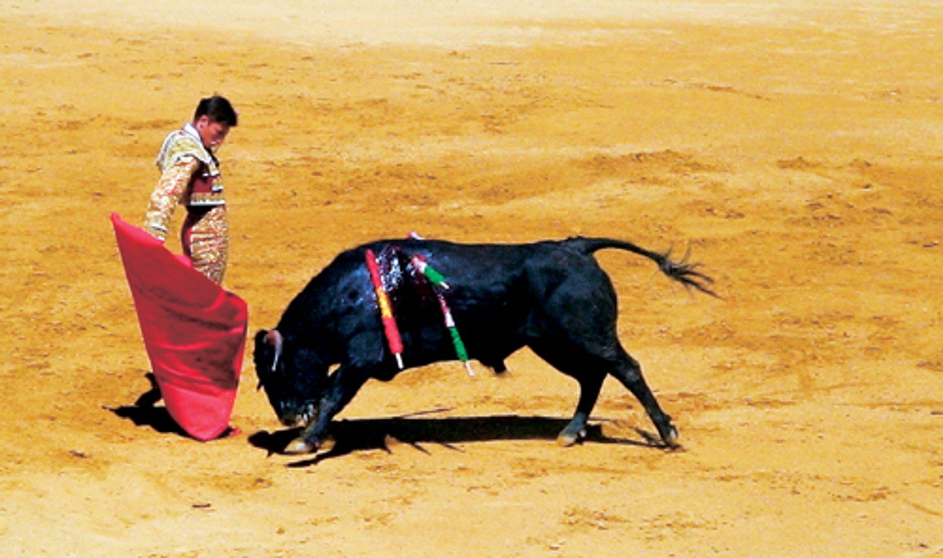 Relaks w rytmie flamenco