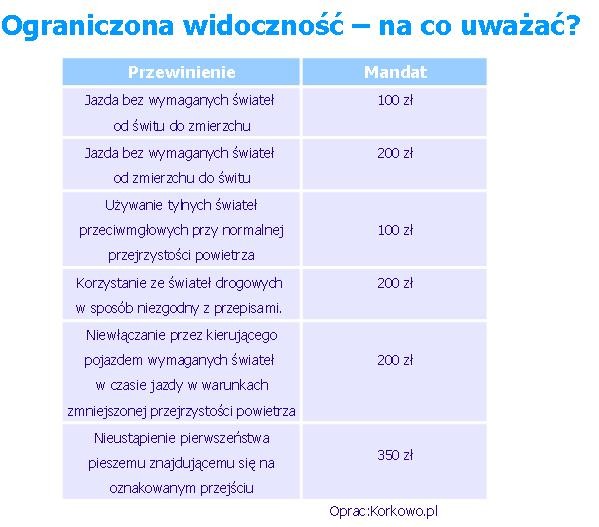 Ograniczona widoczność - taki mandat możesz dostać