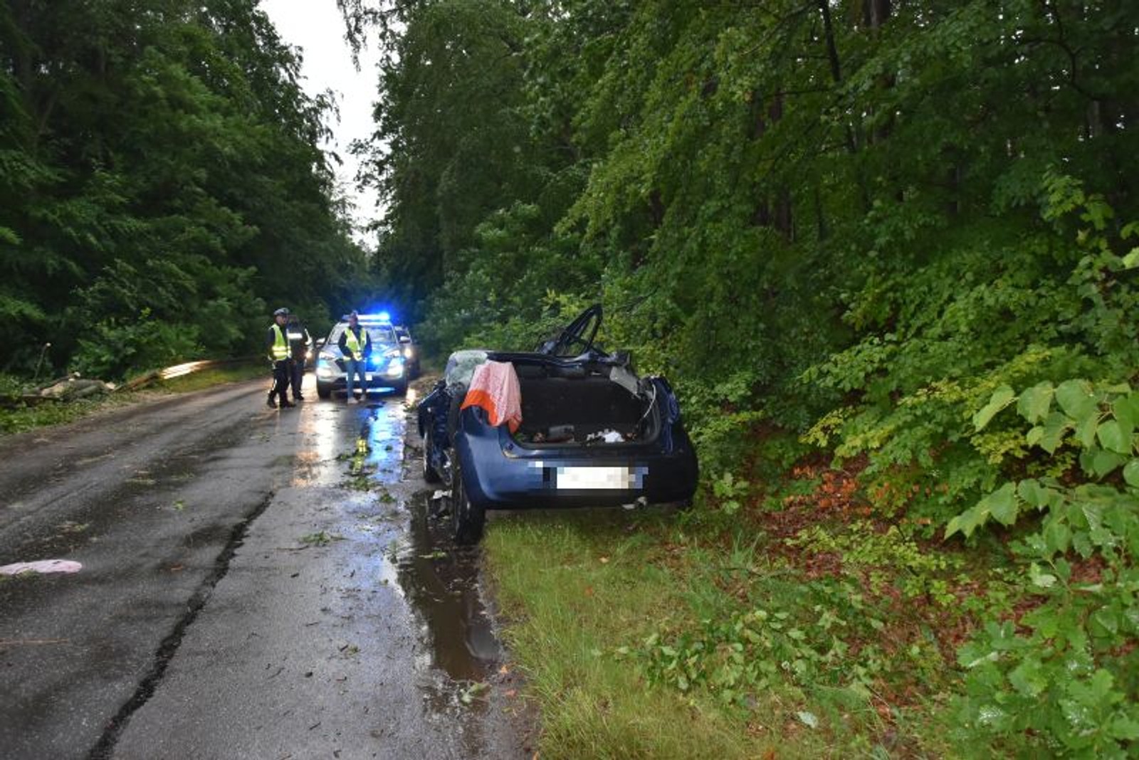wypadek drzewo pocięty samochód