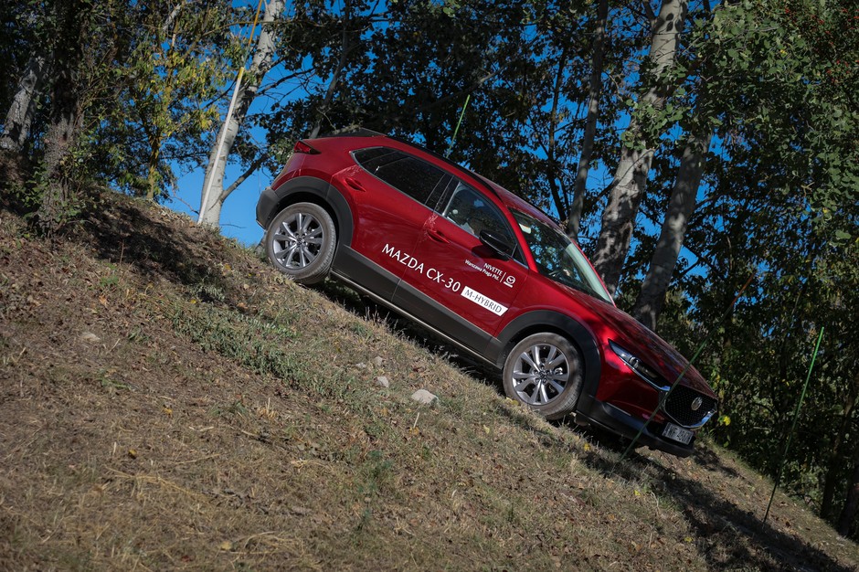 Jubileuszowy zlot z okazji 20-lecia MX-5 Klub Polska