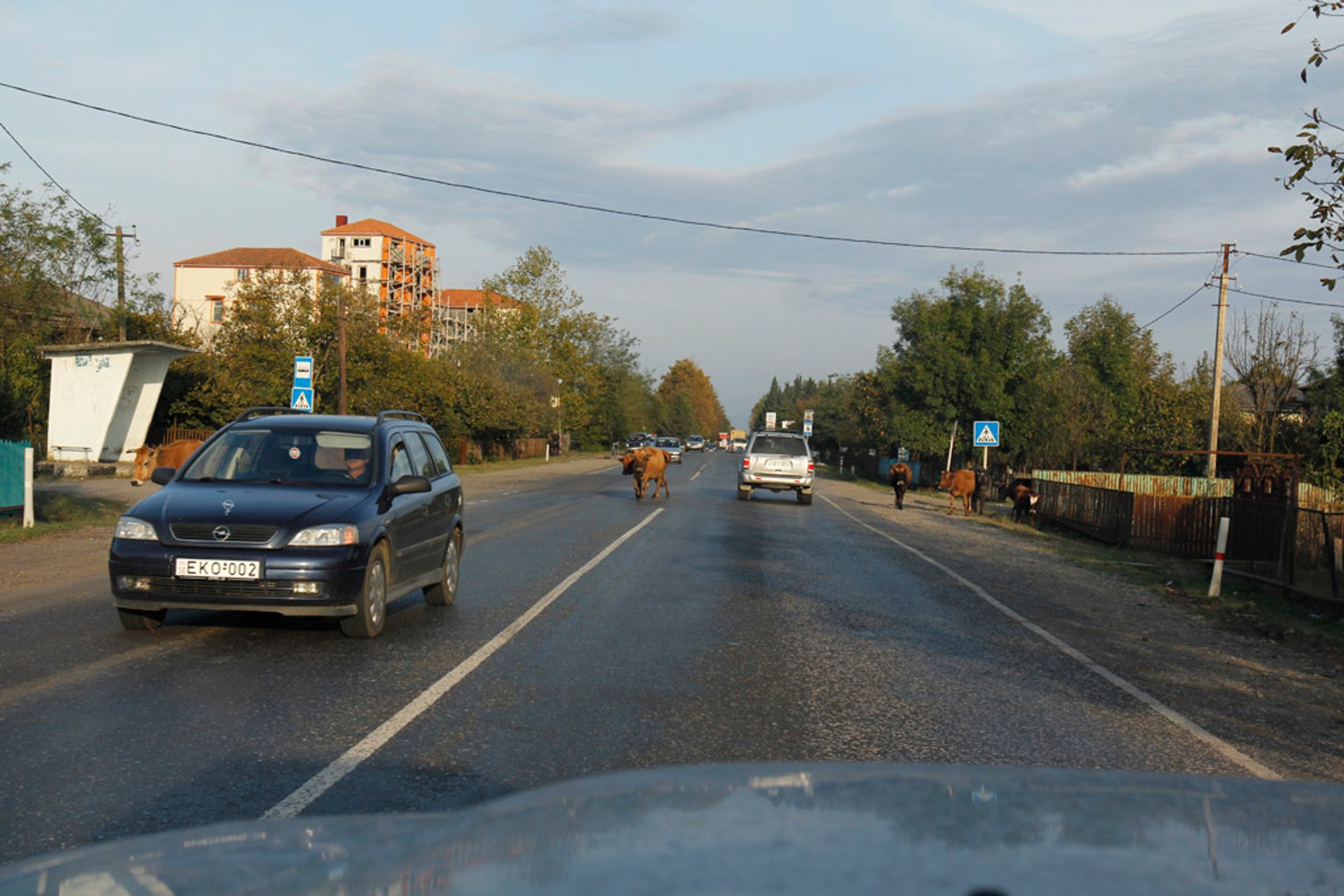 Auto Świat 4x4 Expedition: toast za Gruzję
