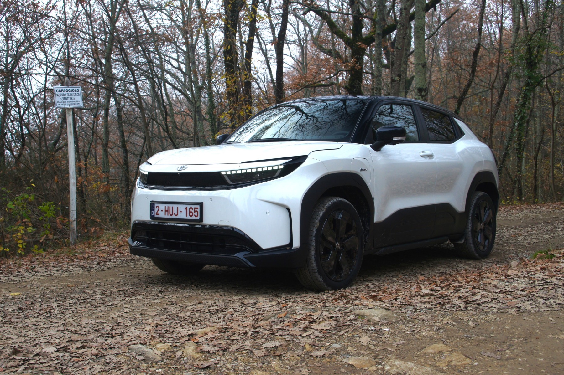 Toyota Urban Cruiser