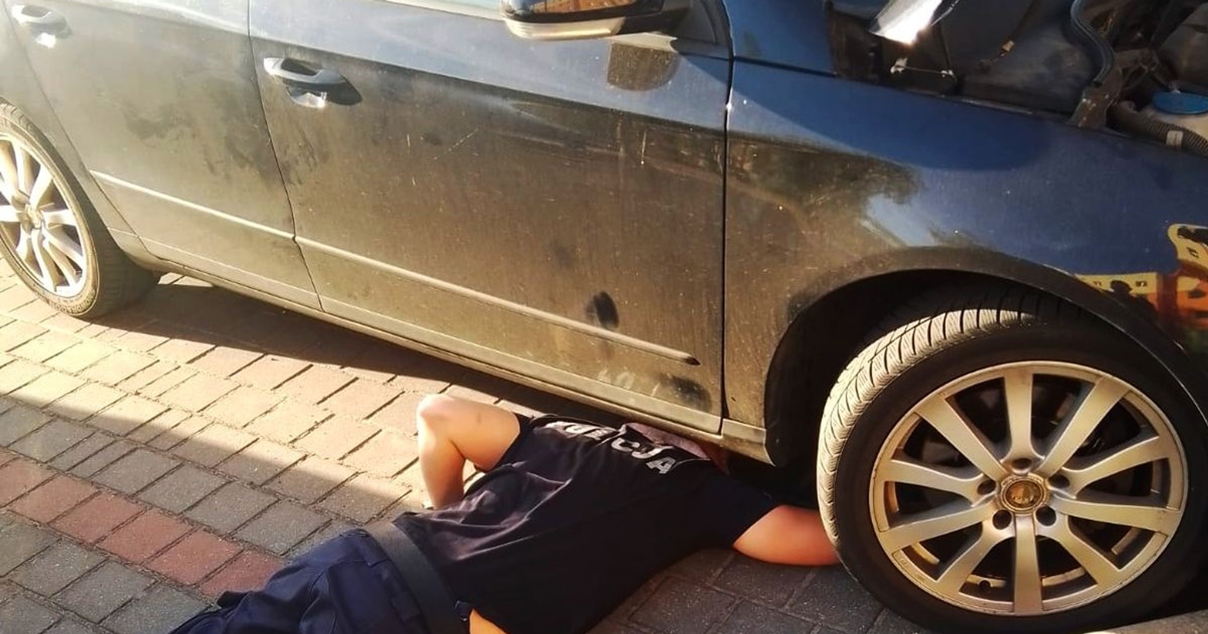 Kot pod maską