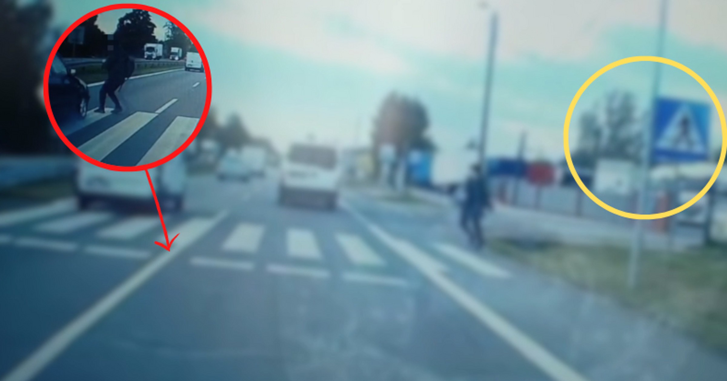 Policja pokazuje, czego nie robić na przejściach dla pieszych