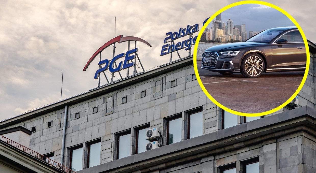 Luksusowe limuzyny dla szefów PGE: "tylko koniecznie audi, bo bmw się psuje"