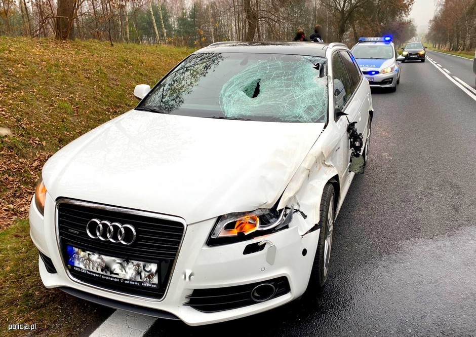 Audi po kolizji z jeleniem