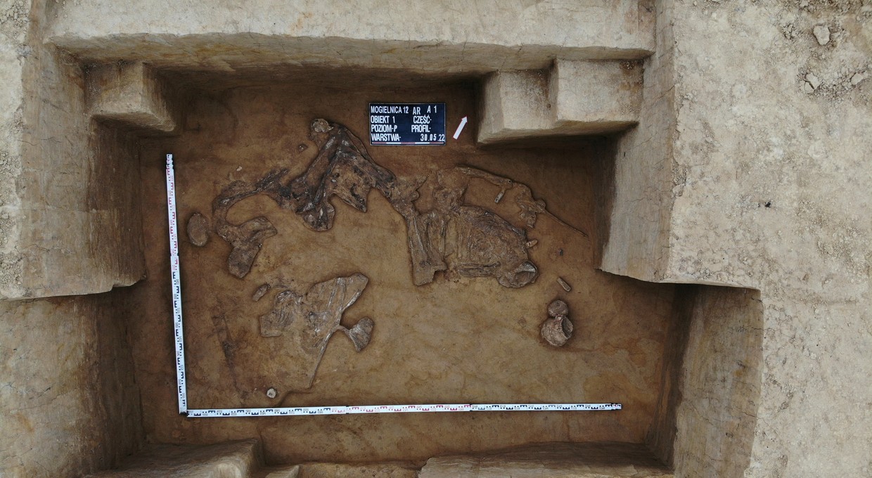 Nietypowe znaleziska na planowanej trasie S19 Via Carpatia