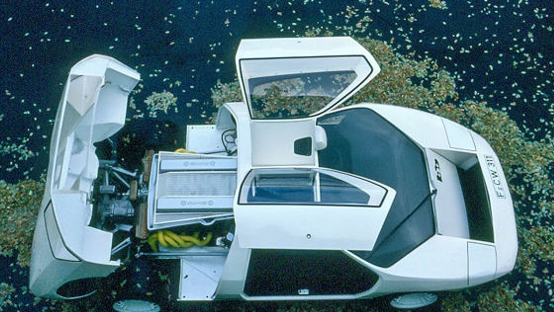 CW 311 (1978)